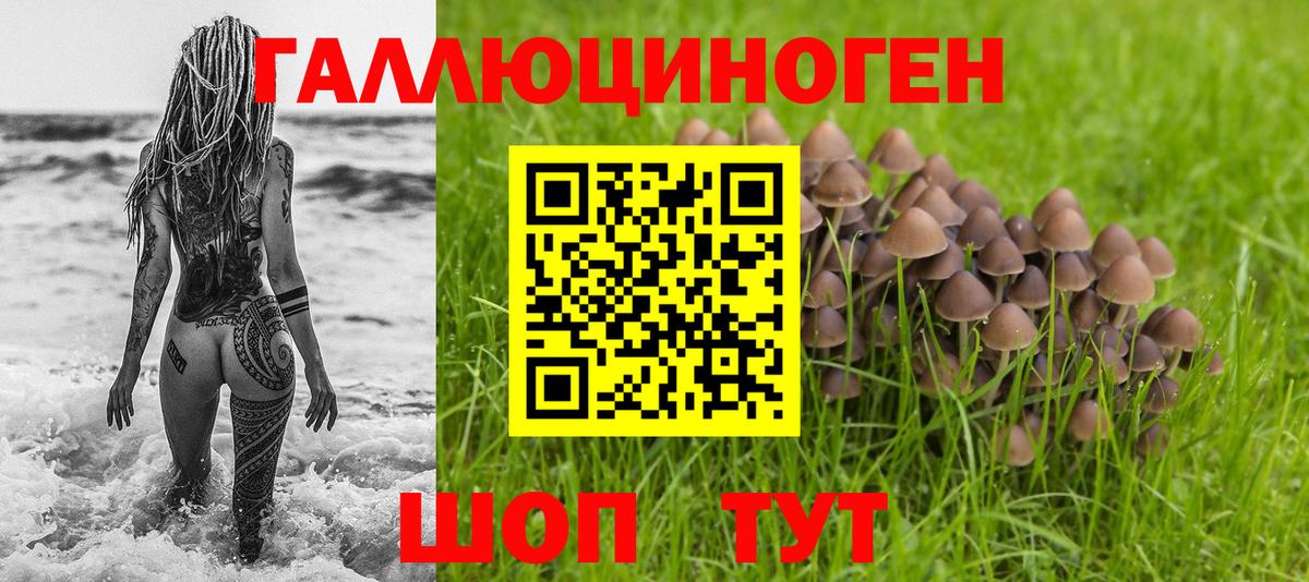 Ессентуки  где купить   Галлюциногенные грибы Psilocybe  Вход с VPN  Галлюциногенные грибы Cubensis 